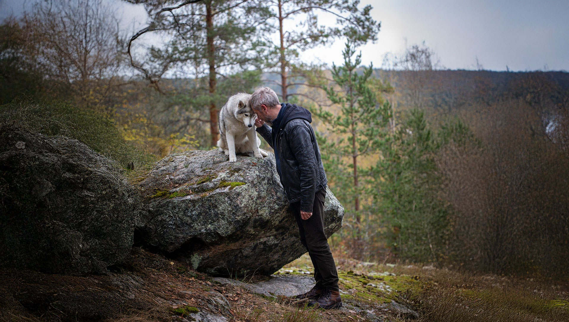 Meine Sanftmut als Mann
